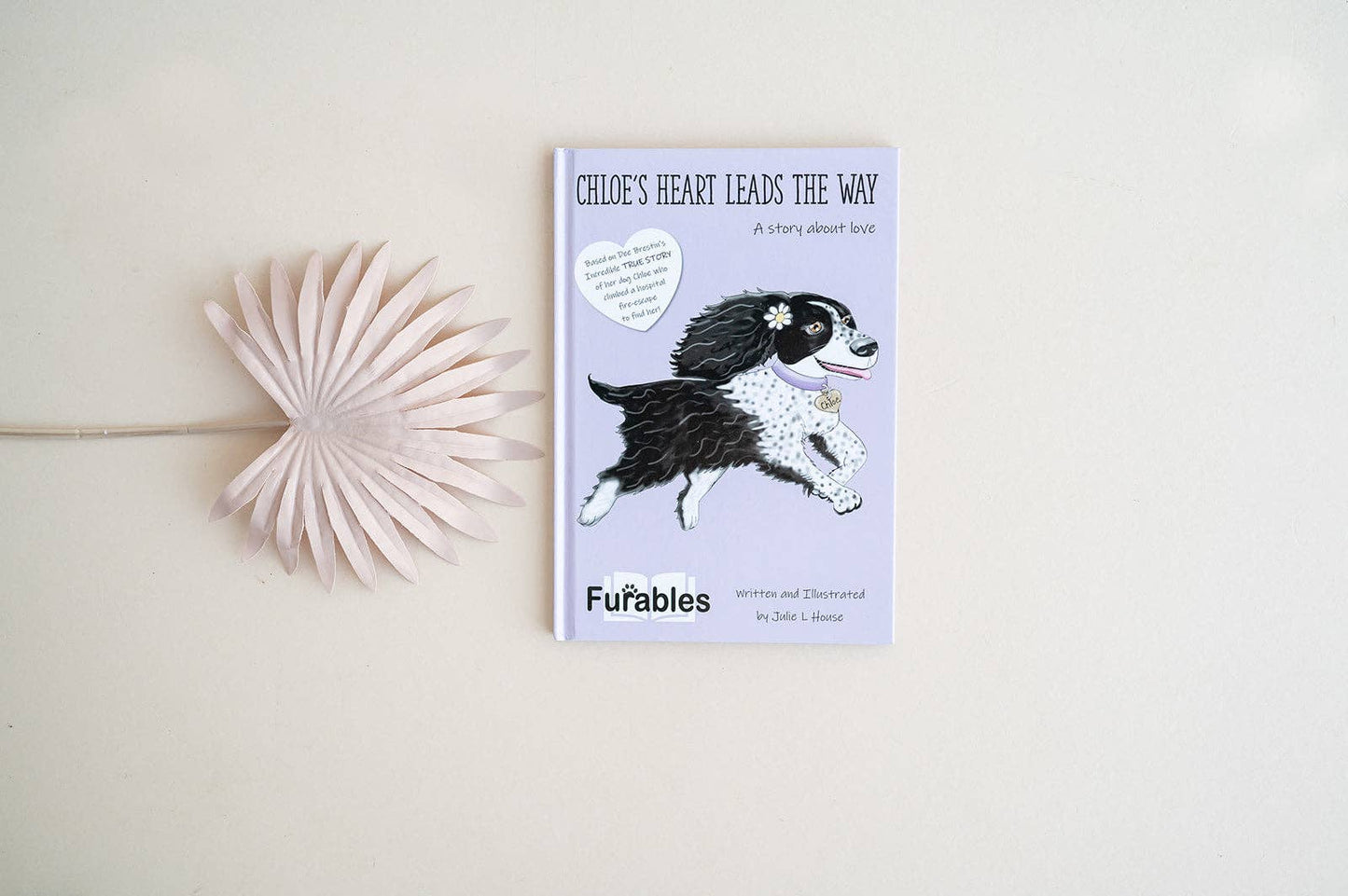 Furables Books