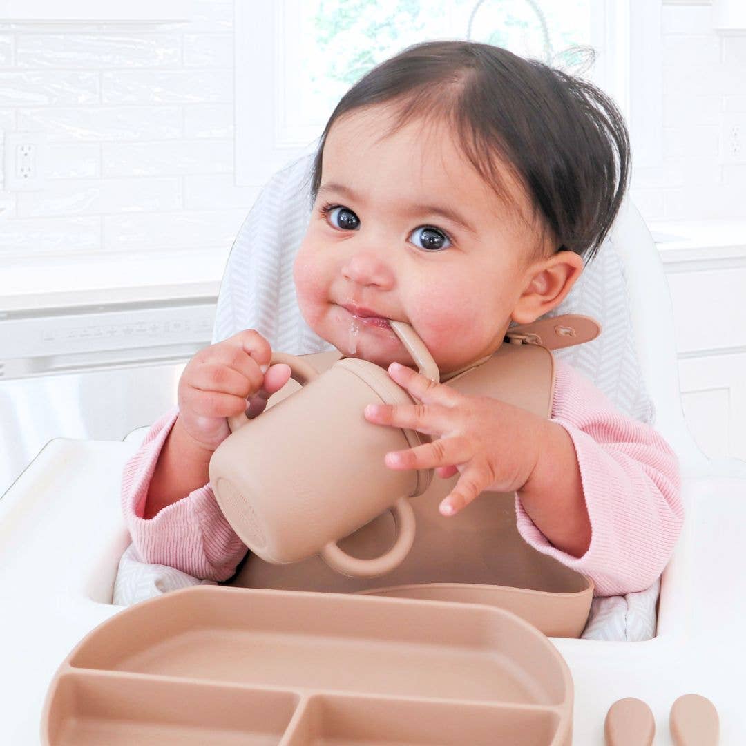 Sippy Cup with Straw, Spill-Proof & Anti-Stain - Dusty Rose