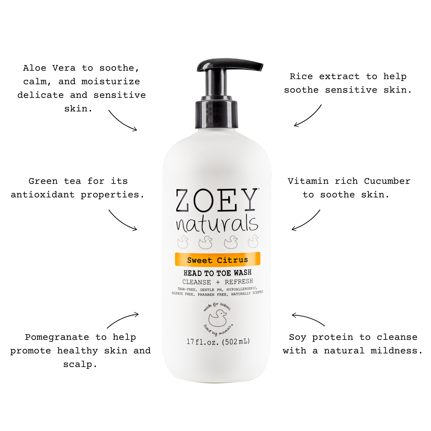 Sweet Citrus Head to Toe Wash - 17oz