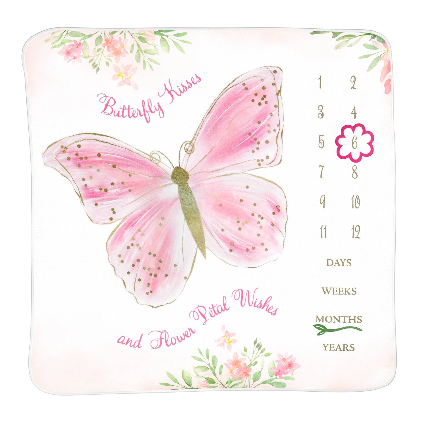 Lillian Rose Butterfly Baby Milestone Blanket w/ Felt Frames