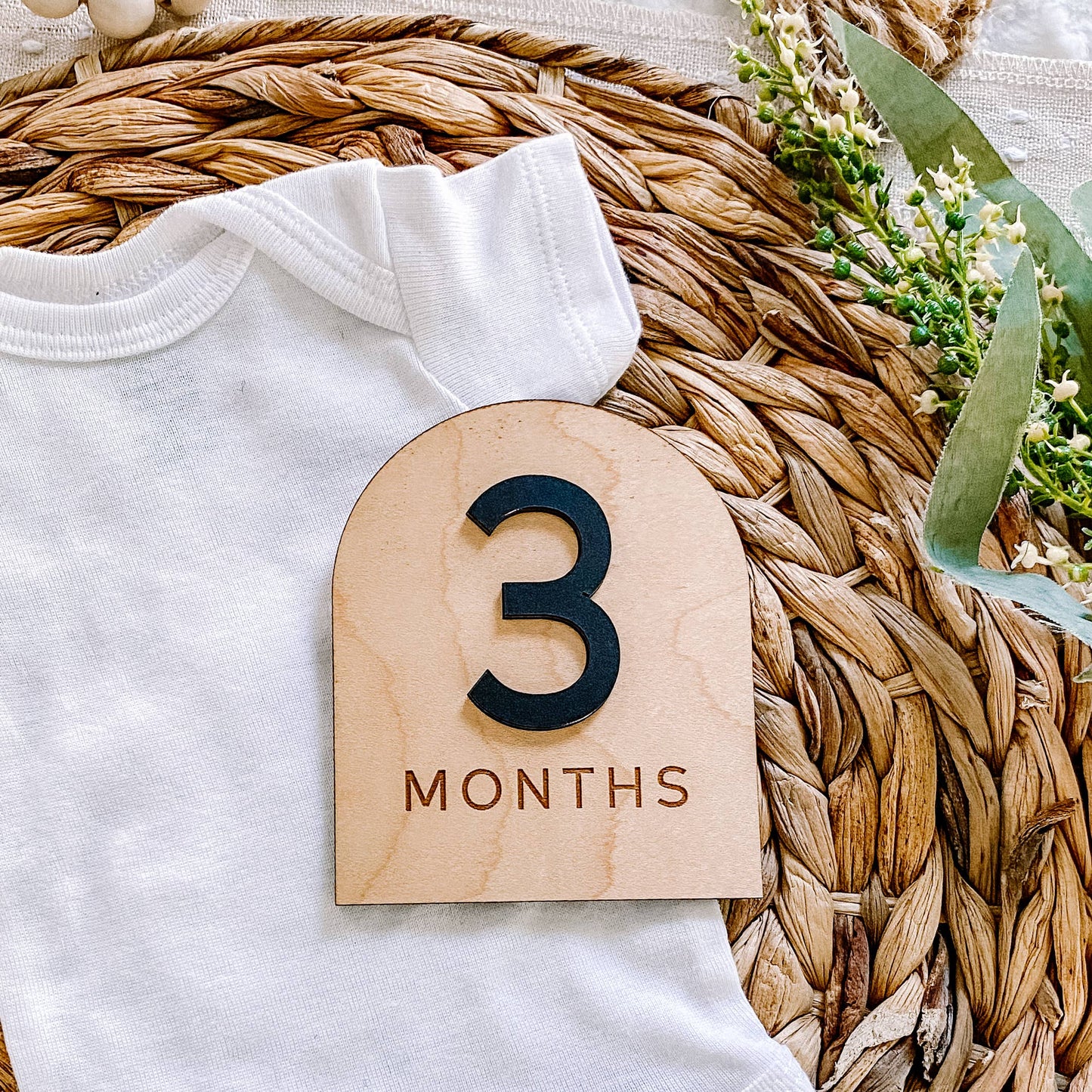 Modern Arch Monthly Milestone Set