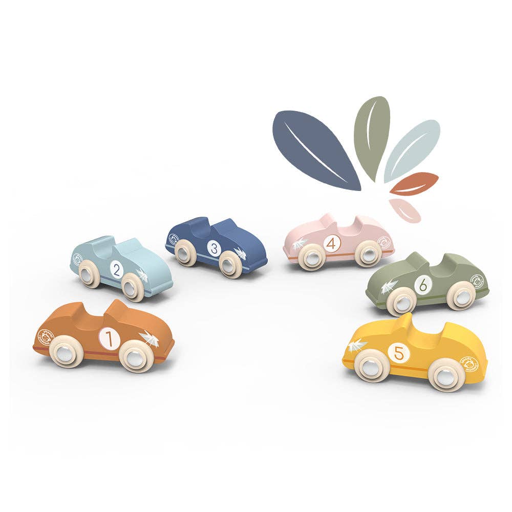 Racing Cars (12 in display)