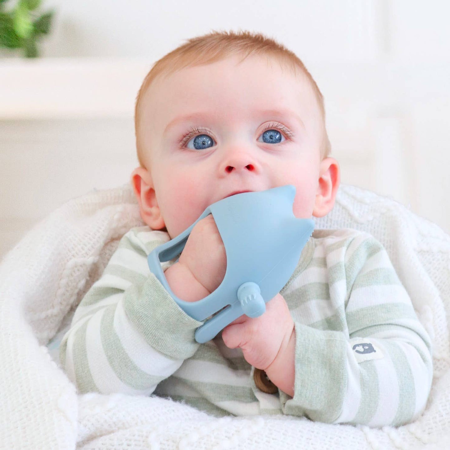 Cat Teething Mitt - Cream